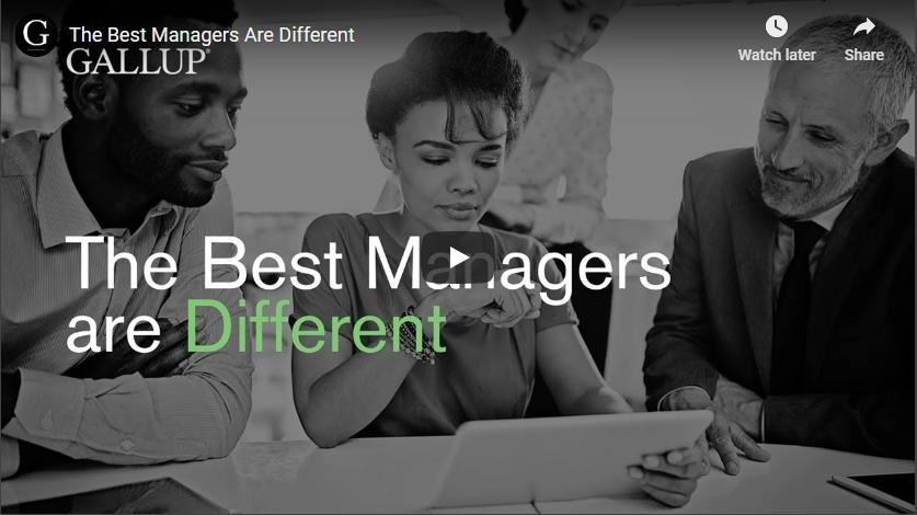 Play video: The Best Managers are Different